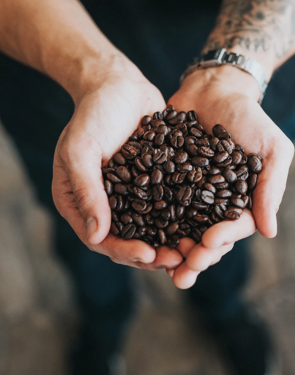 Manos sosteniendo granos de café tostado